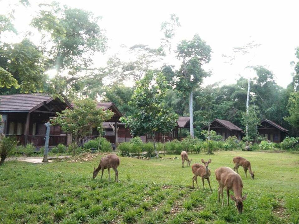 G-Land Joyo'S Camp Hotel Banyuwangi  Exterior photo